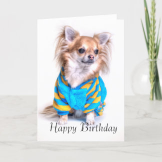 Cartão de aniversário Chihuahua