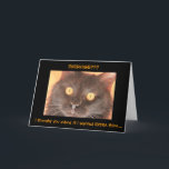 Cartão de aniversário chocado engraçado do gato<br><div class="desc">O cartão de aniversário chocado engraçado do gato,  parte dianteira do cartão diz: EXERCÍCIO?? eu pensei que você perguntou se eu quis fritadas do ACRÉSCIMO… Dentro de: feliz aniversario,  eu espero que você obtem tudo que você pediu realmente!</div>