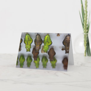 Cartão de Aniversário Chrysalis