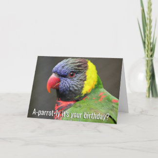 Cartão de aniversário colorido de Lorikeet
