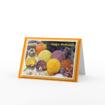 Cartão de aniversário colorido dos escudos