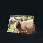 Cartão de aniversário com alce<br><div class="desc">Esses lindos coelhos roosevelt frequentam a área na Califórnia Norte ao redor dos parques nacionais e estaduais. Eles são bonitos e você pode vê-los andando nos Sloughs, deitados nos prados, e de outra forma vivendo suas vidas. Espero que goste da beleza deles tanto quanto nós. Você pode encontrar mais pássaros...</div>