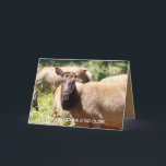 Cartão de aniversário com alce<br><div class="desc">Esses lindos coelhos roosevelt frequentam a área na Califórnia Norte ao redor dos parques nacionais e estaduais. Eles são bonitos e você pode vê-los andando nos Sloughs, deitados nos prados, e de outra forma vivendo suas vidas. Espero que goste da beleza deles tanto quanto nós. Você pode encontrar mais pássaros...</div>