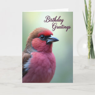 Cartão de Aniversário com Arte de Pássaro Colorido