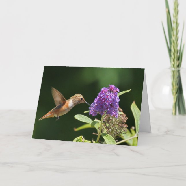 Cartão de aniversário com beija-flor (Frente)