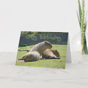 Cartão de aniversário com Capybara
