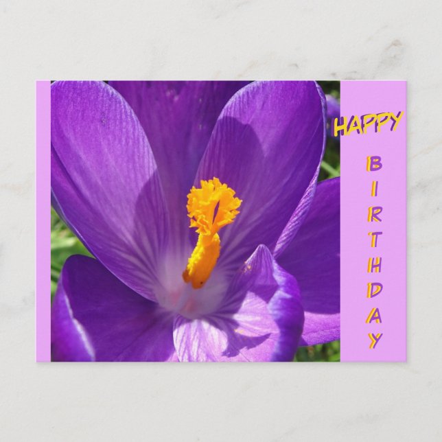Cartão de Aniversário com Crocus em Close-Up Feliz (Frente)