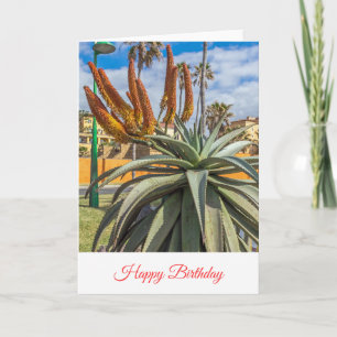 cartão de aniversário com flores de Aloe Vera