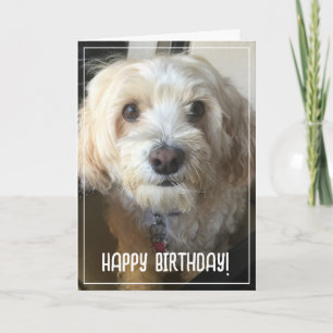 Cartão de Aniversário com Foto