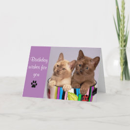 Cartão de aniversário com gato fofo