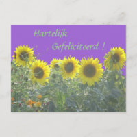 Cartão de aniversário com girassóis em holandês