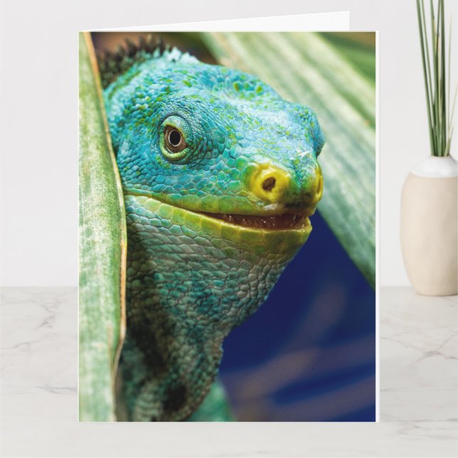 CARTÃO DE ANIVERSÁRIO COM IGUANA ENGRAÇADA E PIADA (Frente)