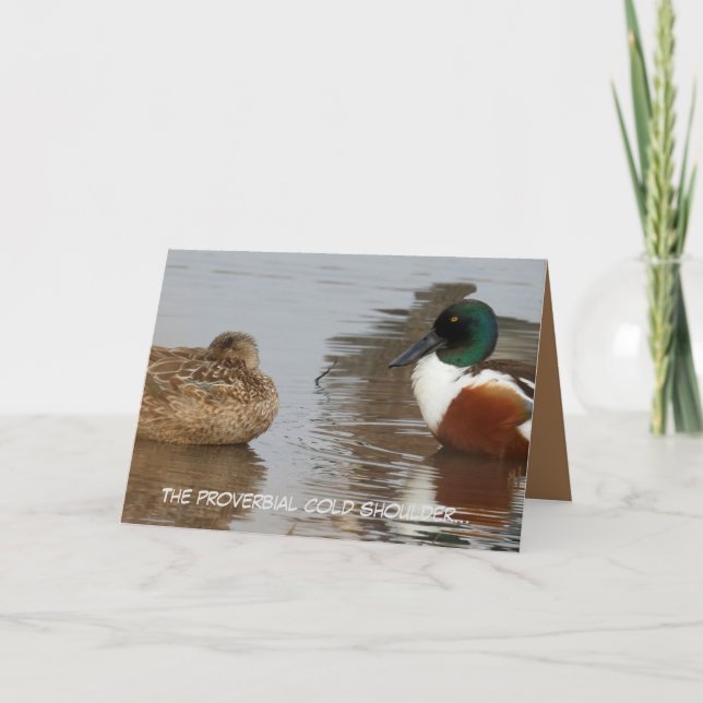 Cartão de aniversário com patos Shoveler (Frente)