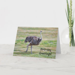 Cartão de Aniversário com Pun Cute de Ave Arte de 