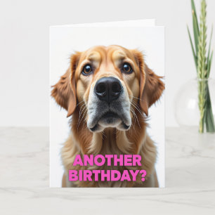 Cartão de Aniversário com Retrato de Cachorro