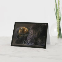 Cartão De Aniversário Com Urso Dormindo - Relaxe