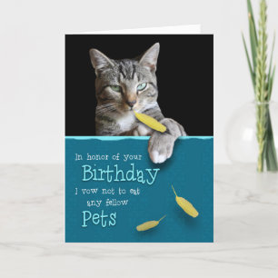 Cartão de aniversário cómico do gato impertinen