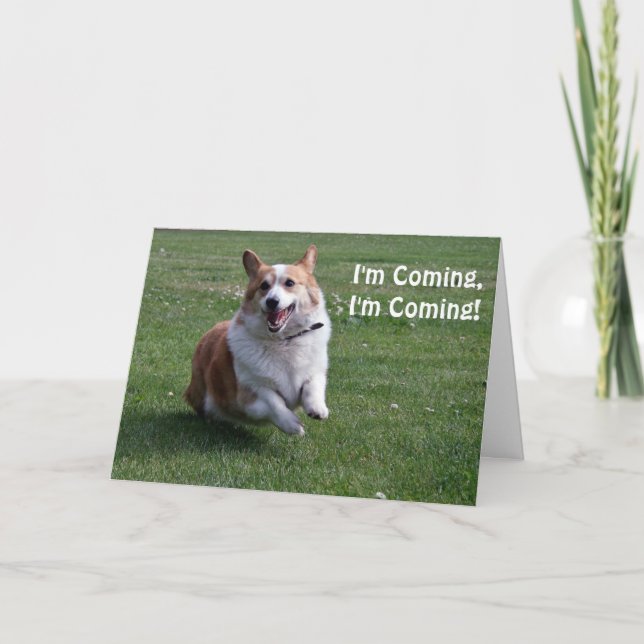 Cartão de aniversário Corgi (Frente)