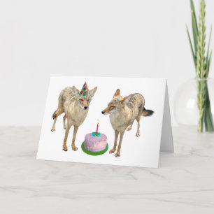 Cartão de Aniversário Coyotes