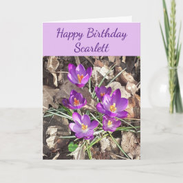 Cartão de Aniversário Crocus Roxo
