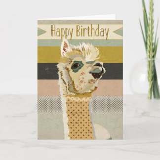 Cartão de aniversário da alpaca
