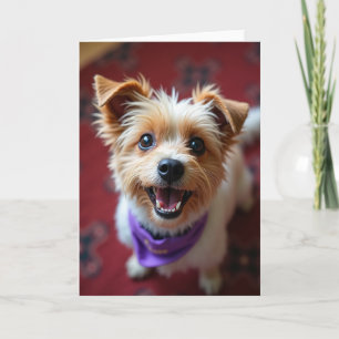 Cartão de Aniversário da Bandana do Cachorrinho Fe