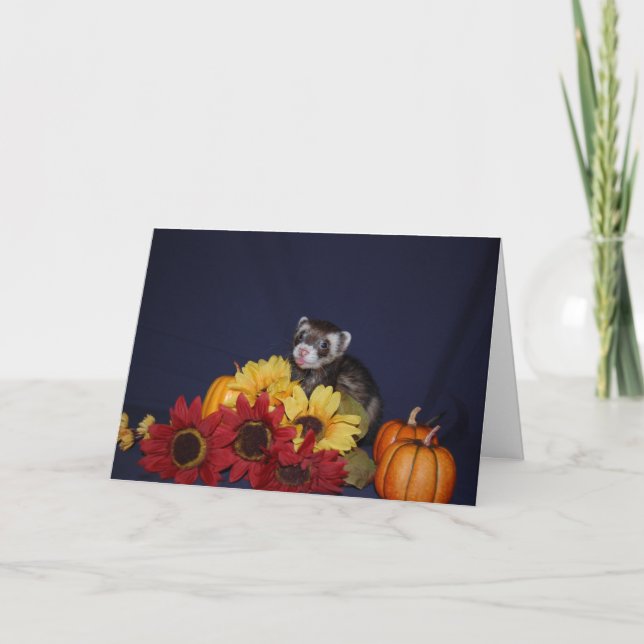 Cartão de aniversário da doninha (Frente)