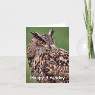 Cartão de Aniversário da Eagle Owl