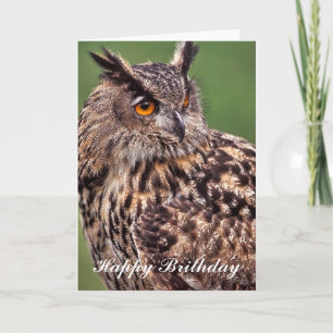 Cartão de Aniversário da Eagle Owl