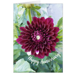 Cartão de Aniversário da Flor Dahlia Roxo Profundo
