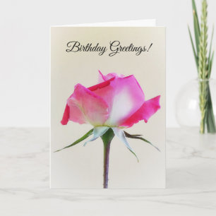 Cartão de Aniversário da Flor Rosa Rosa Rosa Rosa
