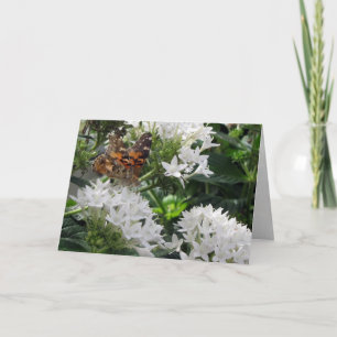 Cartão de Aniversário da Lady Butterfly Pintado