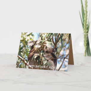Cartão de aniversário da mãe com Koala joey