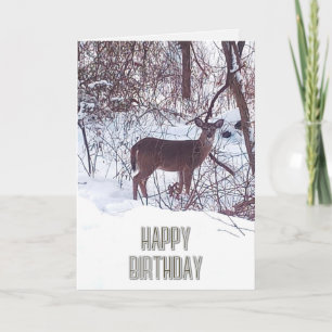 Cartão de aniversário da natureza com foto de vead