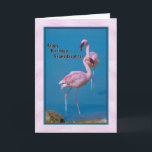 Cartão de aniversário da neta com flamingo<br><div class="desc">Estes flamingos americanos cor-de-rosa lindos foram fotografados no Condado de Orange,  Florida.  Fazem um cartão de aniversário óptimo para alguém muito especial.</div>
