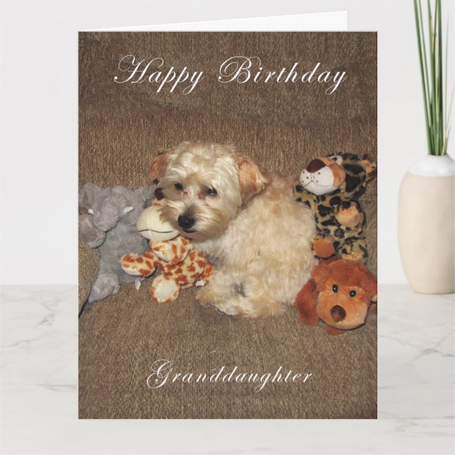Cartão de aniversário da neta do filhote de (Frente)