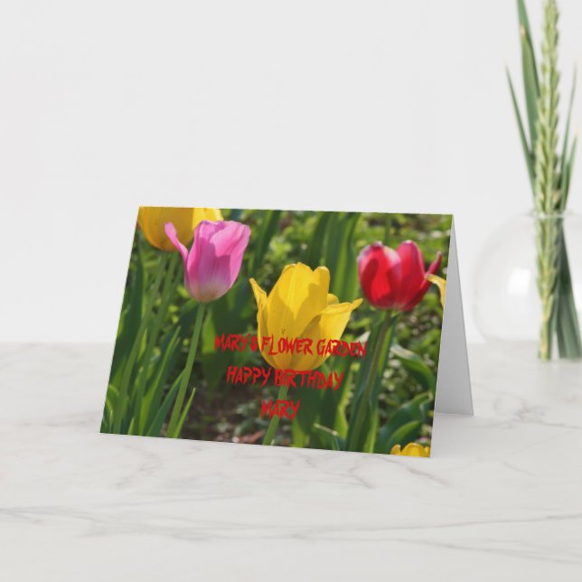 Cartão de ANIVERSÁRIO da TULIPA da PRIMAVERA (Frente)