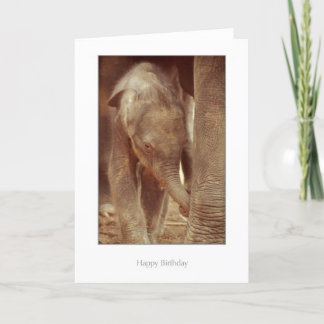 Cartão de aniversário da vitela do elefante