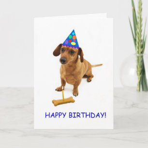 Cartão de Aniversário Dachshund por Foco para uma