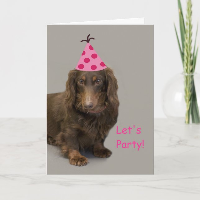 Cartão de aniversário Dachshund por foco para uma  (Frente)