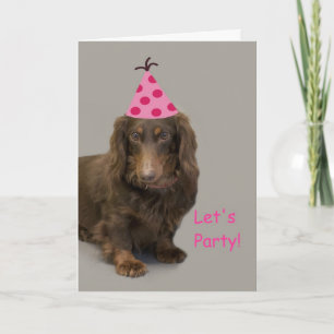 Cartão de Aniversário Dachshund por Foco para uma