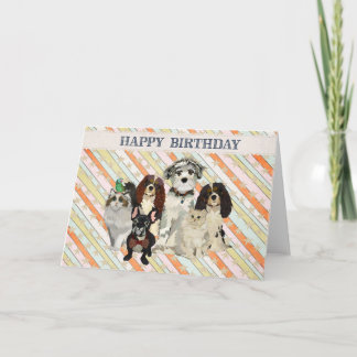 Cartão de aniversário das PATAS, das GARRAS & das