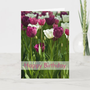 Cartão de aniversário das tulipas