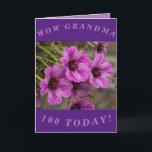 Cartão de aniversário de 100 anos para vovó<br><div class="desc">Lindas flores roxas de cranesbill gerânio fazem uma imagem de excelente para este cartão de aniversário colorido de 100 anos para a vovó.  Todo texto pode ser facilmente personalizado.</div>
