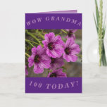 Cartão de aniversário de 100 anos para vovó<br><div class="desc">Lindas flores roxas de cranesbill gerânio fazem uma imagem de excelente para este cartão de aniversário colorido de 100 anos para a vovó.  Todo texto pode ser facilmente personalizado.</div>