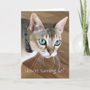 Cartão de Aniversário de 50 anos do Gato Curioso