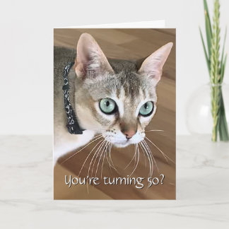 Cartão de Aniversário de 60 anos do Gato Curioso