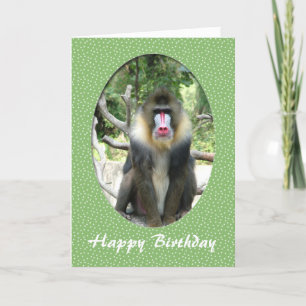 cartão de aniversário de animal do zoológico feliz