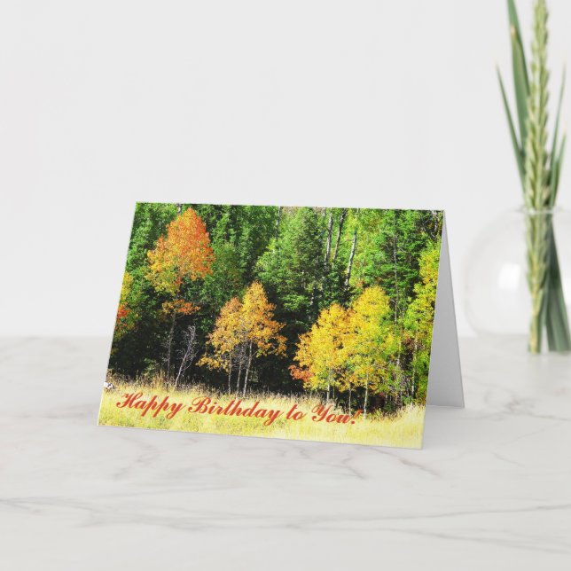 Cartão de aniversário de Aspen (Frente)