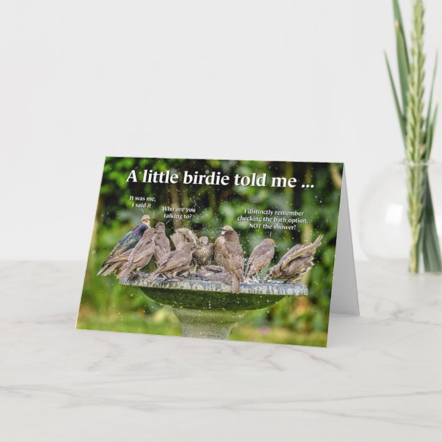 Cartão de Aniversário de Aves Marinhas (Frente)